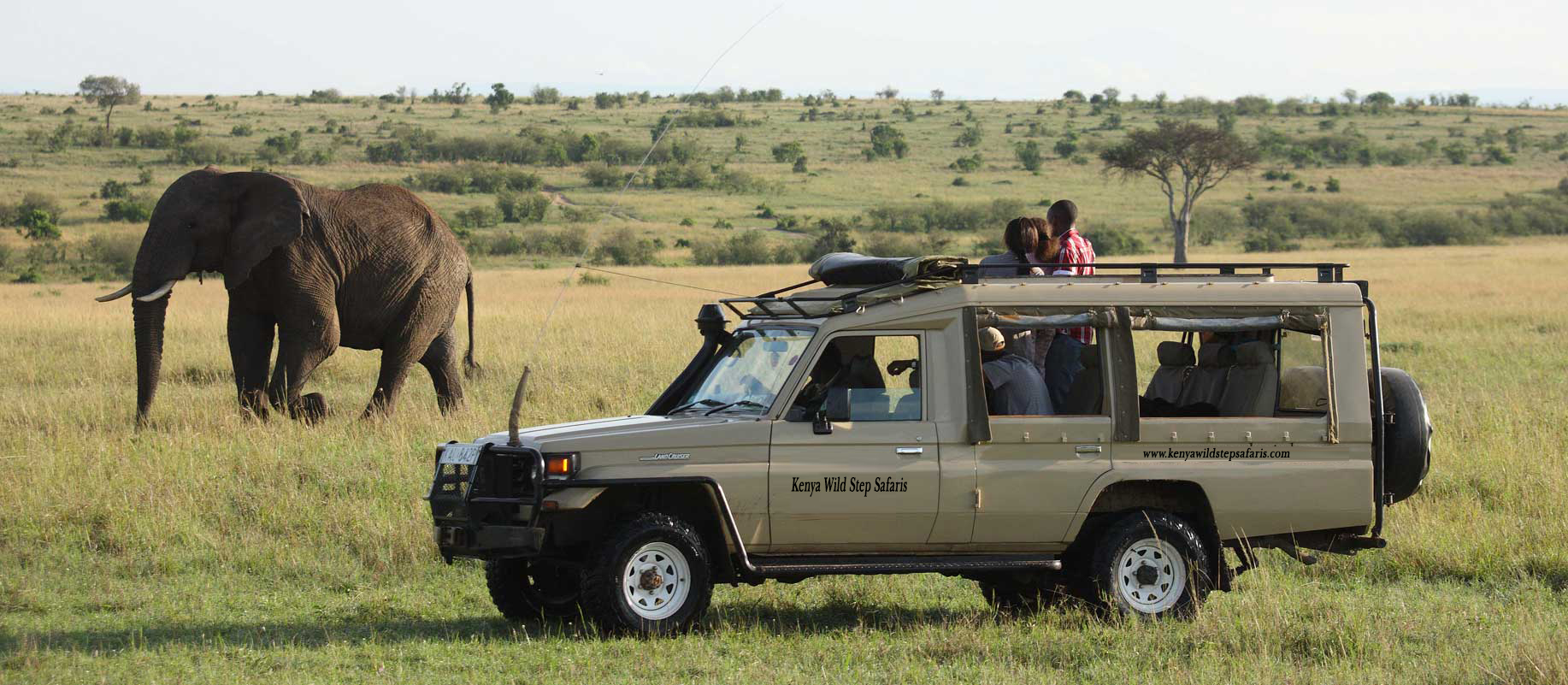 sarova mara sarova mara