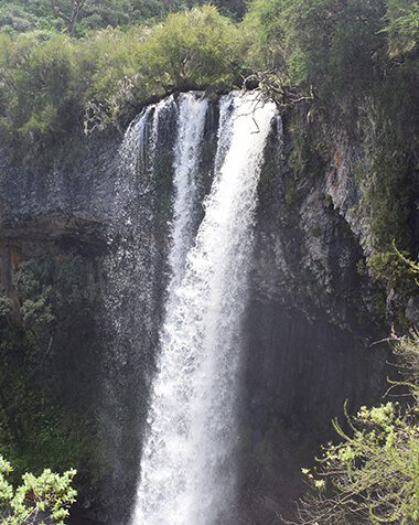 Home to Victoria Falls
