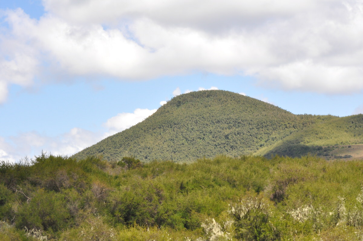 Hill_Kenya Wild Step Safaris